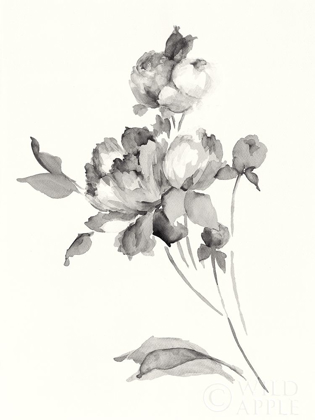 Picture of PEONY BLOSSOMS GRAY CROP