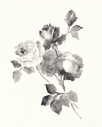 Picture of ROSE BLOSSOMS GRAY