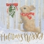 Picture of CHRISTMAS CRITTERS BRIGHT IV