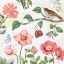 Picture of STUDIO BOTANICALS III