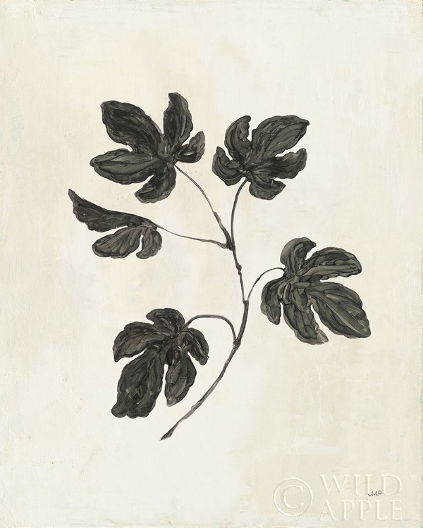 Picture of BOTANICAL STUDY III