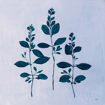 Picture of BOTANICAL STUDY IV BLUE