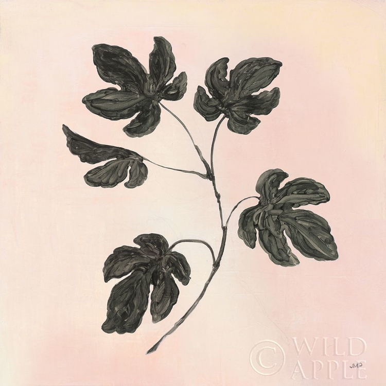 Picture of BOTANICAL STUDY III BLUSH