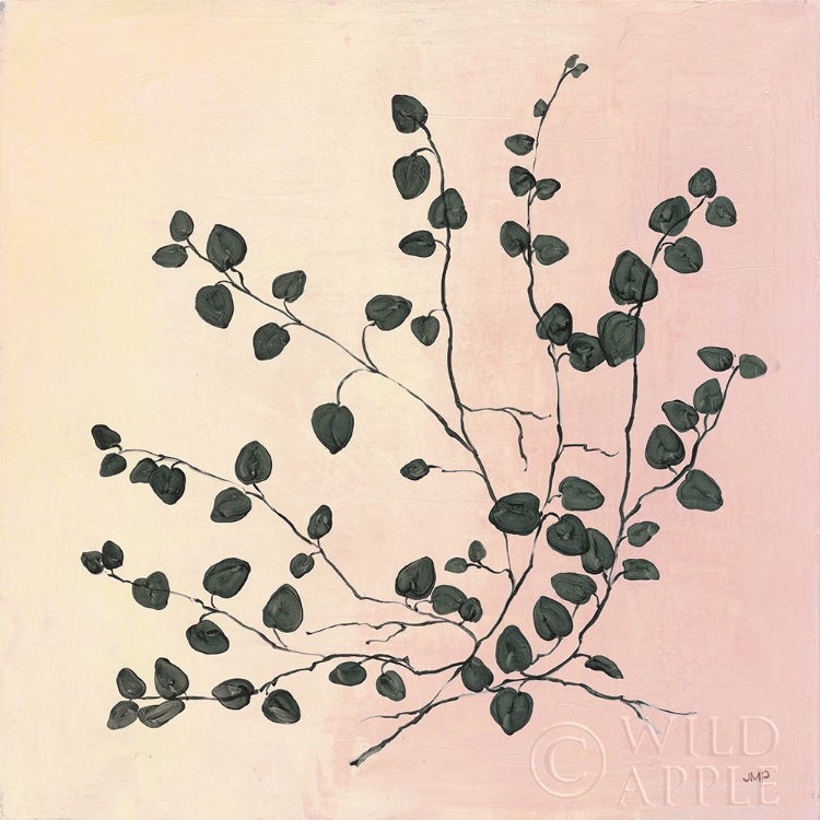 Picture of BOTANICAL STUDY VII BLUSH