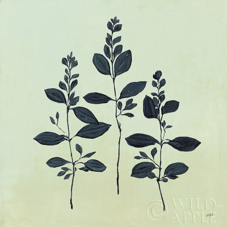 Picture of BOTANICAL STUDY IV SAGE