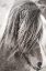 Picture of ELSKA I BW
