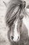 Picture of ELSKA II BW