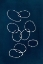 Picture of CIRCLES