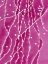 Picture of OUR BODY