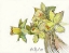 Picture of YELLOW STUDY
