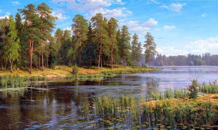 Picture of FOREST LAKE