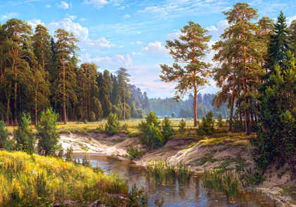 Picture of FOREST RIVER