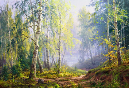 Picture of MORNING AT THE BIRCH FOREST