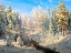 Picture of HOARFROST
