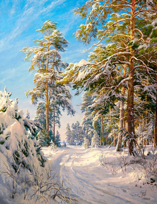 Picture of PINE FOREST WINTER