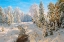 Picture of HOARFROST 2