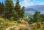 Picture of FOOTHILLS