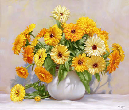 Picture of CALENDULA