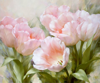 Picture of PINK TULIPS