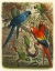 Picture of CASSEL TROPICAL BIRDS III