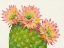 Picture of DESERT BLOSSOMS I