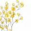 Picture of POSY POP I