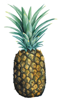 Picture of WATERCOLOR PINEAPPLE I