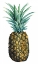 Picture of WATERCOLOR PINEAPPLE I