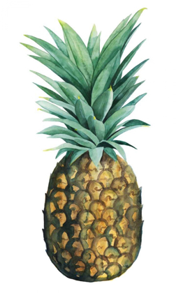 Picture of WATERCOLOR PINEAPPLE II