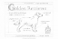 Picture of CUSTOM BLUEPRINT GOLDEN RETRIEVER