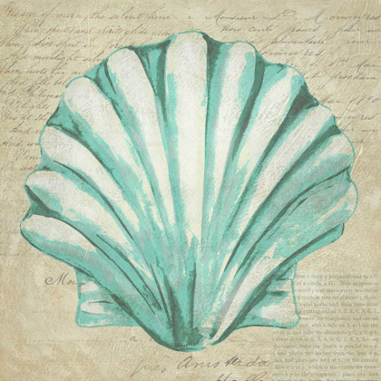 Picture of SEAFOAM SHELL II