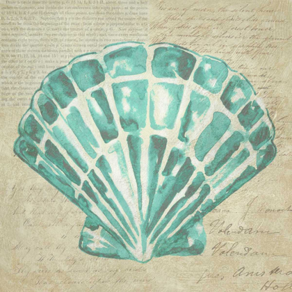 Picture of SEAFOAM SHELL III