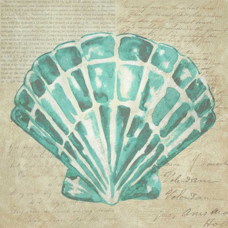 Picture of SEAFOAM SHELL III