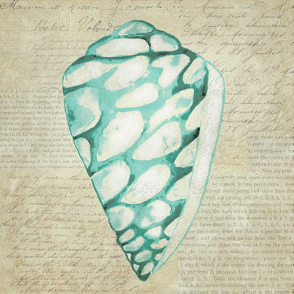 Picture of SEAFOAM SHELL IV