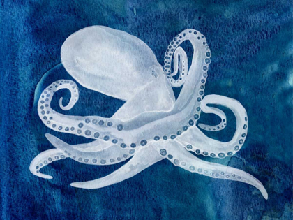 Picture of CEPHALOPOD I