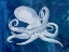 Picture of CEPHALOPOD I