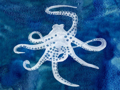 Picture of CEPHALOPOD II