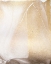 Picture of GOLD FUSION IV