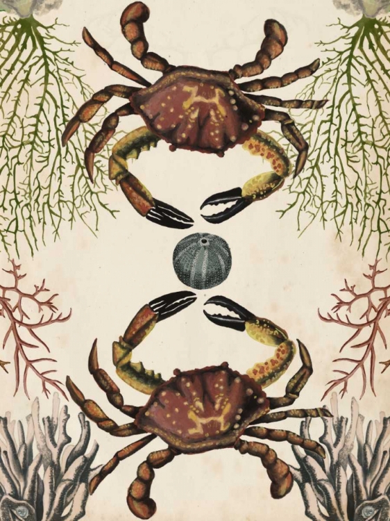 Picture of ANTIQUARIAN MENAGERIE - CRAB