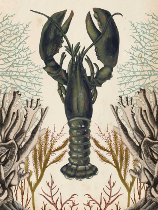 Picture of ANTIQUARIAN MENAGERIE - LOBSTER