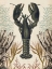 Picture of ANTIQUARIAN MENAGERIE - LOBSTER