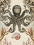 Picture of ANTIQUARIAN MENAGERIE - OCTOPUS