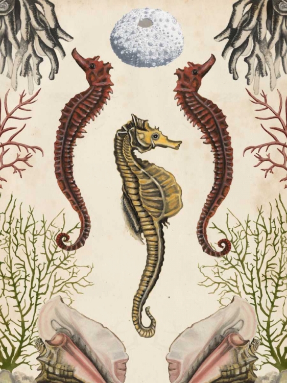 Picture of ANTIQUARIAN MENAGERIE - SEAHORSE