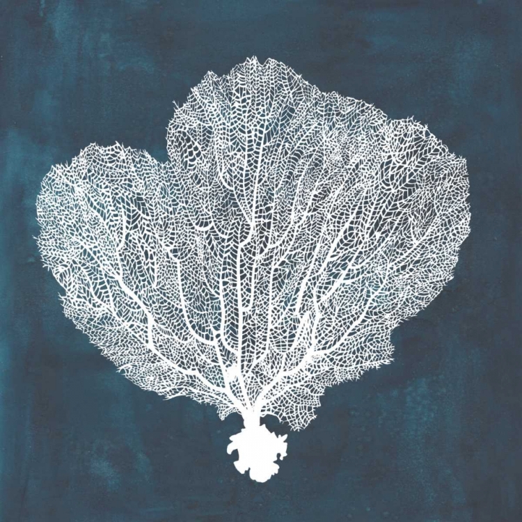 Picture of INVERSE SEA FAN I