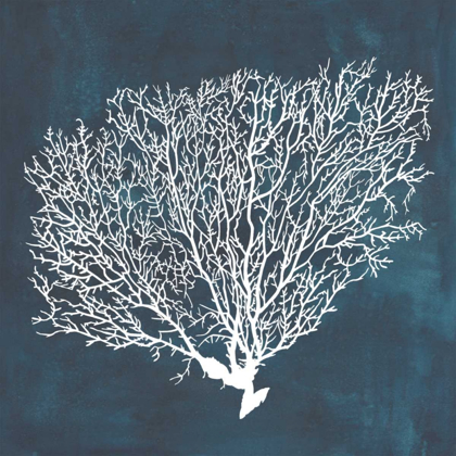 Picture of INVERSE SEA FAN II