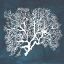 Picture of INVERSE SEA FAN III