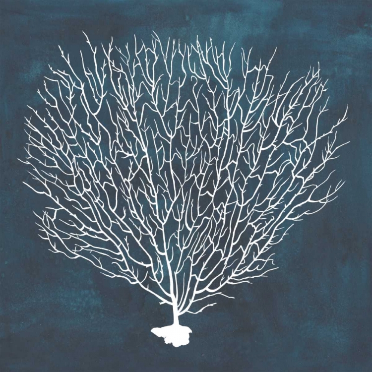 Picture of INVERSE SEA FAN IV