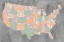 Picture of PATTERNED STATES I