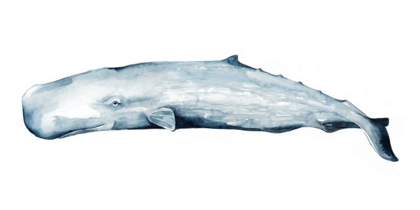 Picture of WHALE PORTRAIT II