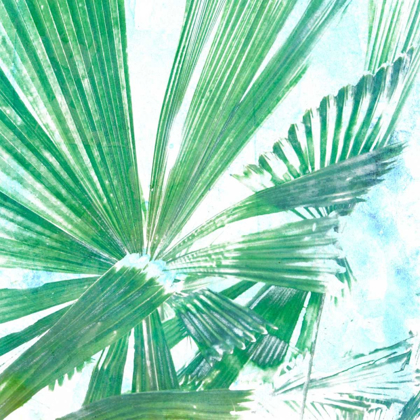Picture of EMERALD PALMS II